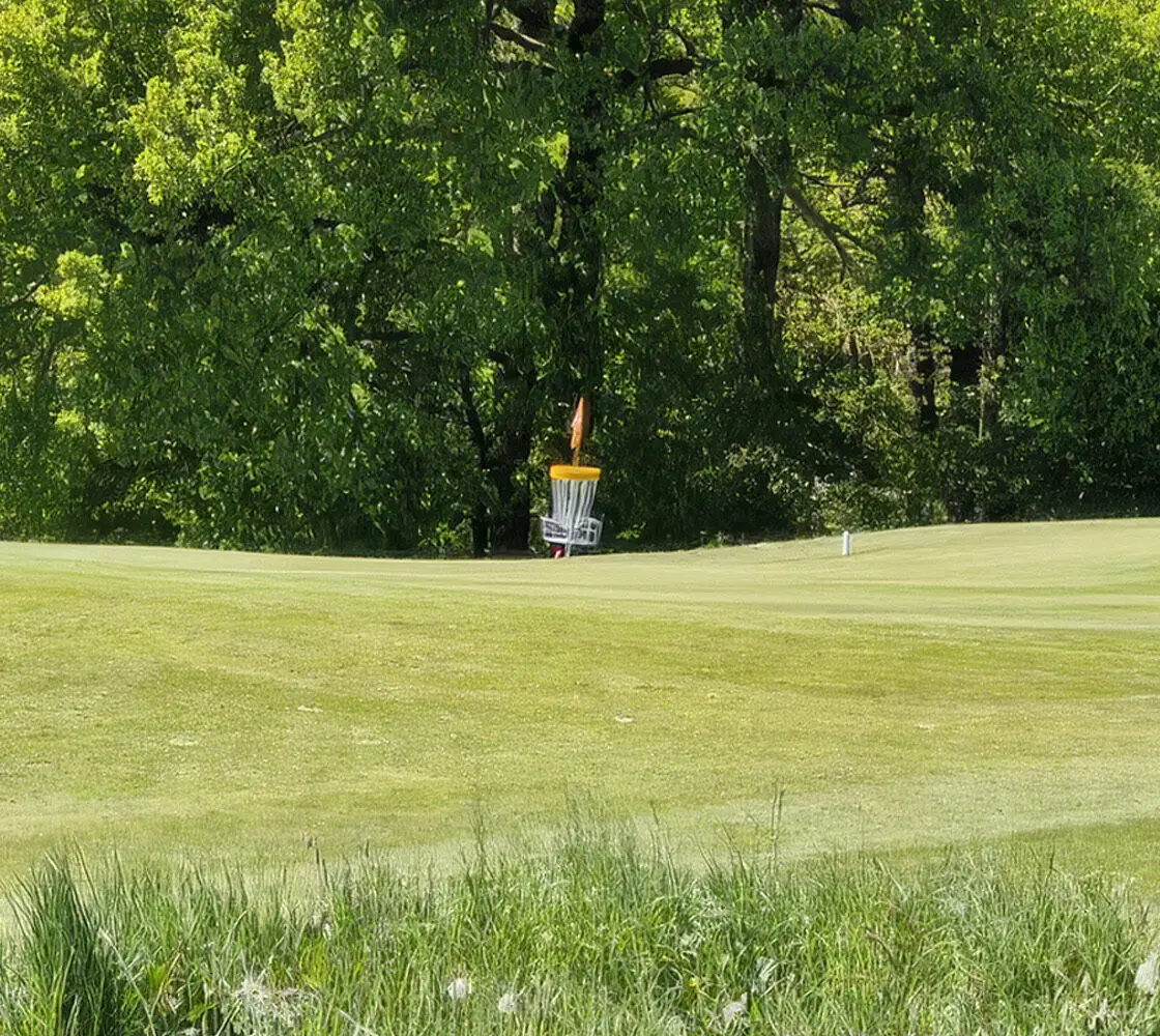 Discgolf Meisterschaften 2025