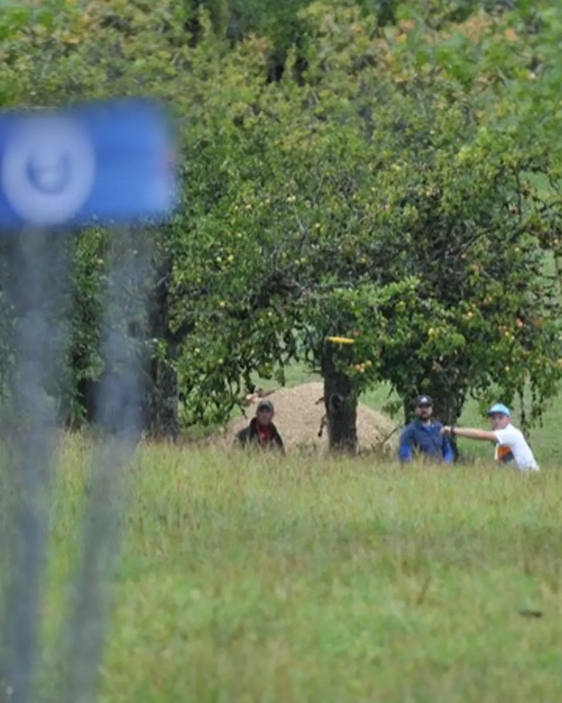 Disc Golf WSCA