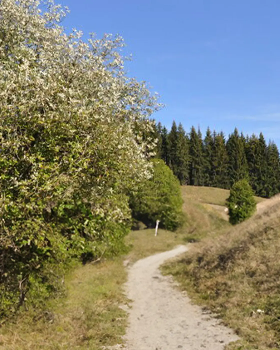 Weg zu WSCA