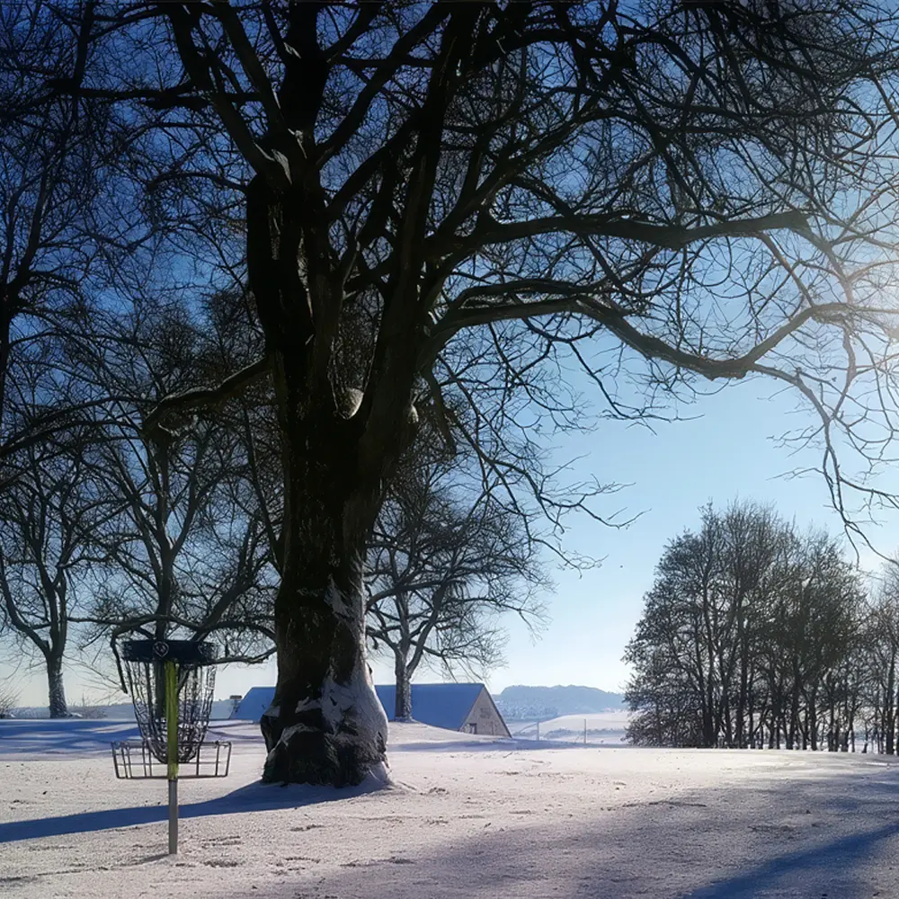 Disc Golf im Winter